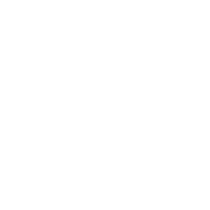 Bitcoin Brain - STEP TWO
DEPOSIT FUNDS