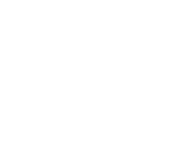 Bitcoin Brain - STEP THREE
START TRADING